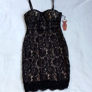 Haute Monde Lace Dress